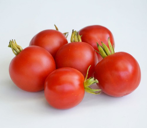 Tomato outdoor girl finest - outdoor,