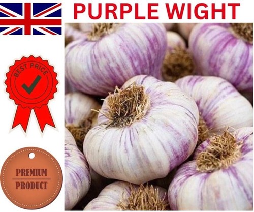 Fresh garlic cloves for - fresh,