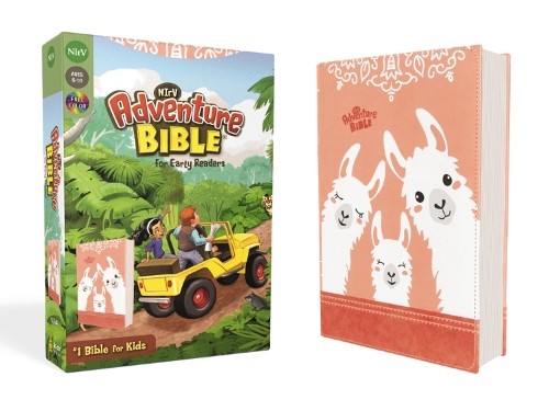 Nirv adventure bible - nirv,, for
