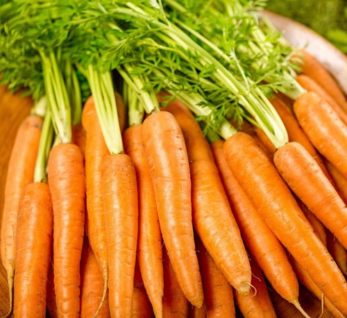 Vegetable carrot early - -,